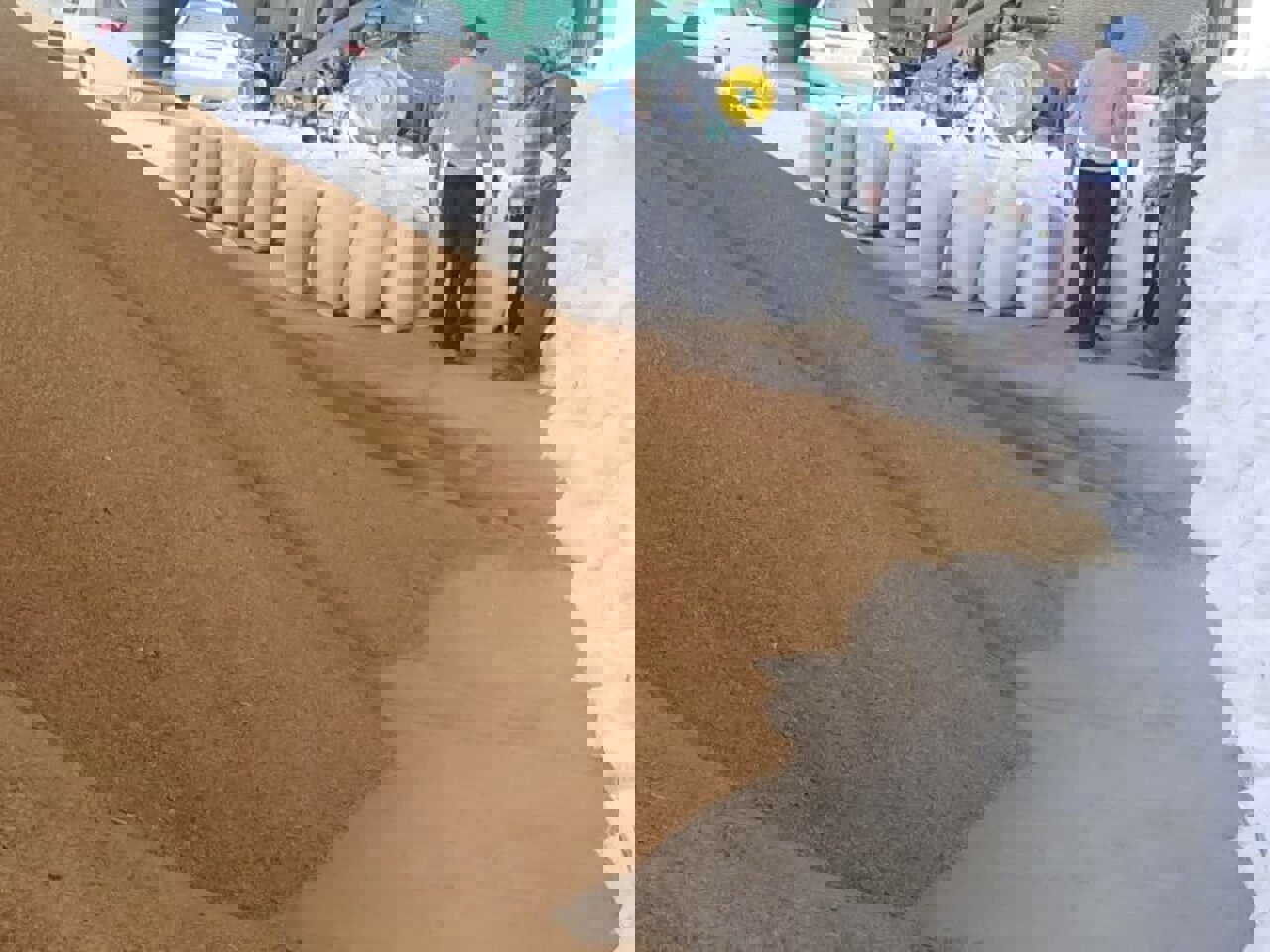 ۷۰ هزار تن انواع نهاده‌های دامی در مناطق عشایری فارس توزیع شد