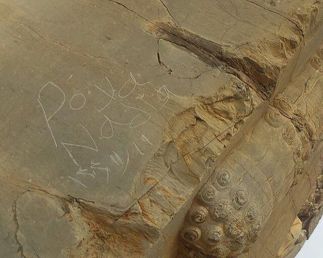 توضیح مجموعه جهانی تخت جمشید درباره یادگاری‌نویسی در دروازه ملل