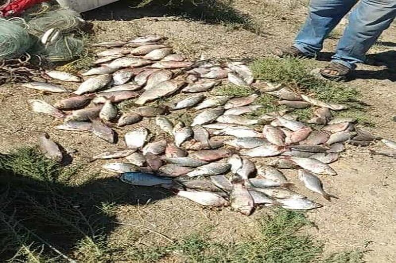 صیادان متخلف  مرودشت به تور محیط زیست افتادند