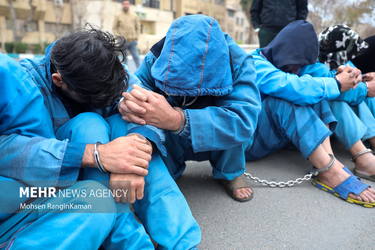 سارقان منازل لوکس در شیراز دستگیر شدند