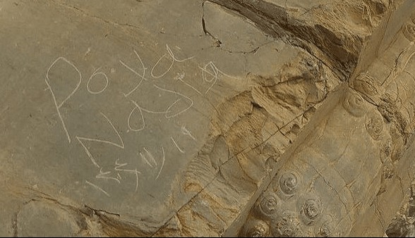 یادگاری بر روی دروازه ملل تخت‌جمشید به محض مشاهده، زدوده شد