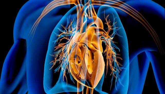 عفونت‌های درمان‌نشده در کودکی، تهدیدی برای دریچه‌های قلب در میانسالی