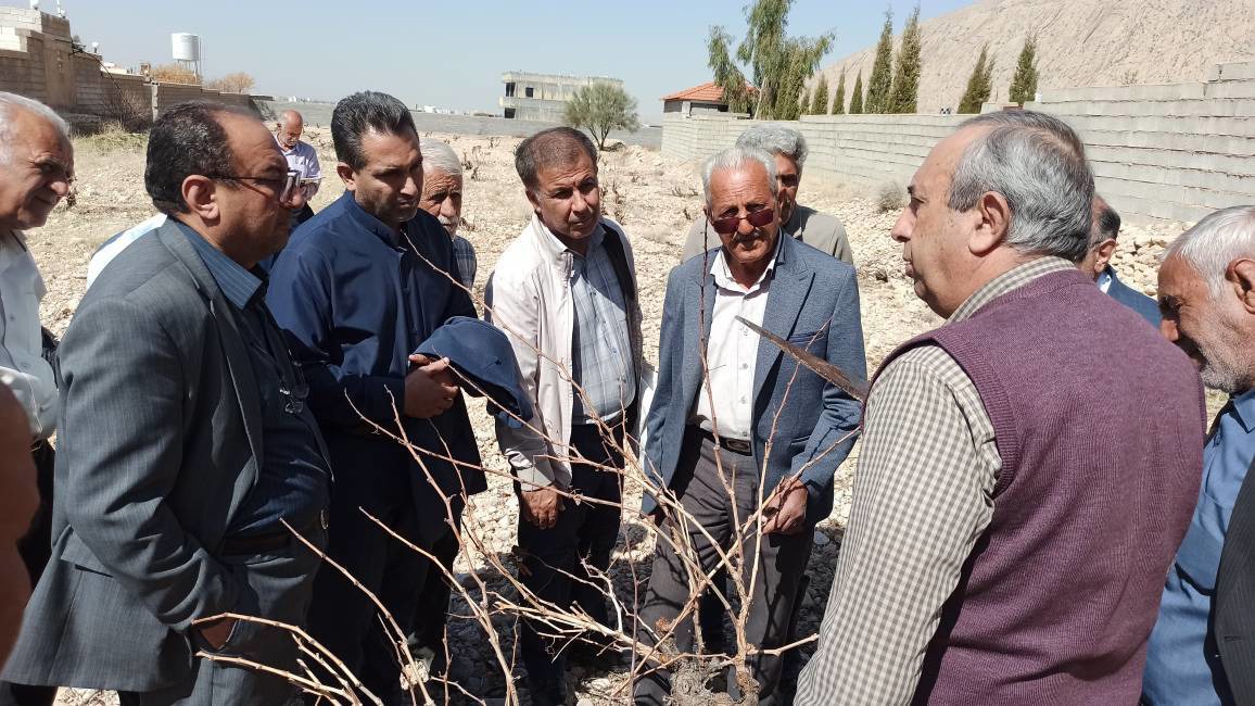 برگزاری کارگاه آموزشی نگهداری تاکستان های دیم در شهر زرقان