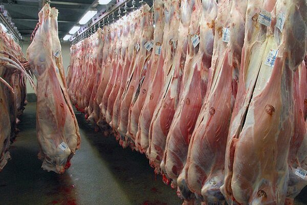 کشف ۳۰ تُن گوشت قرمز احتکار شده در زرقان