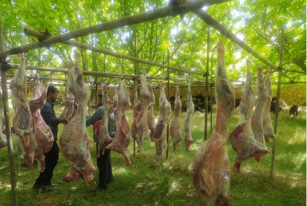 اهدا ۲۰۰ رأس گوسفند به رزمندگان همزمان با عید قربان