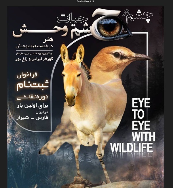 پیام فارس