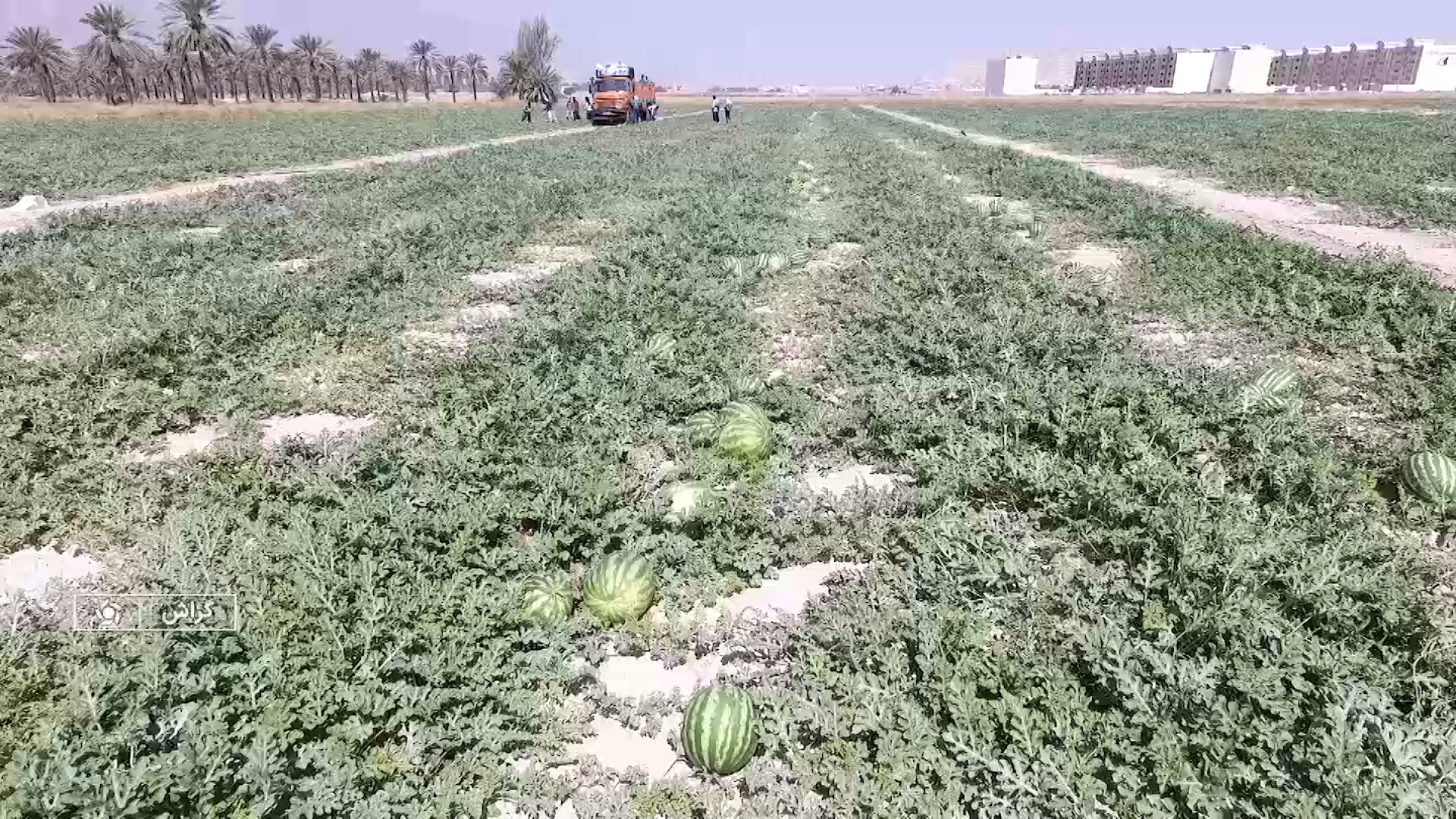پیام فارس
