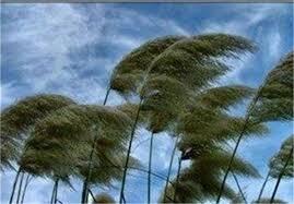 پیام فارس