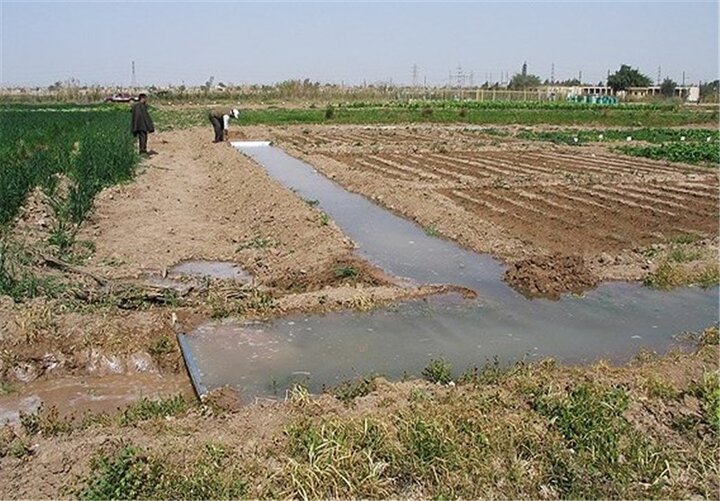 پیام فارس