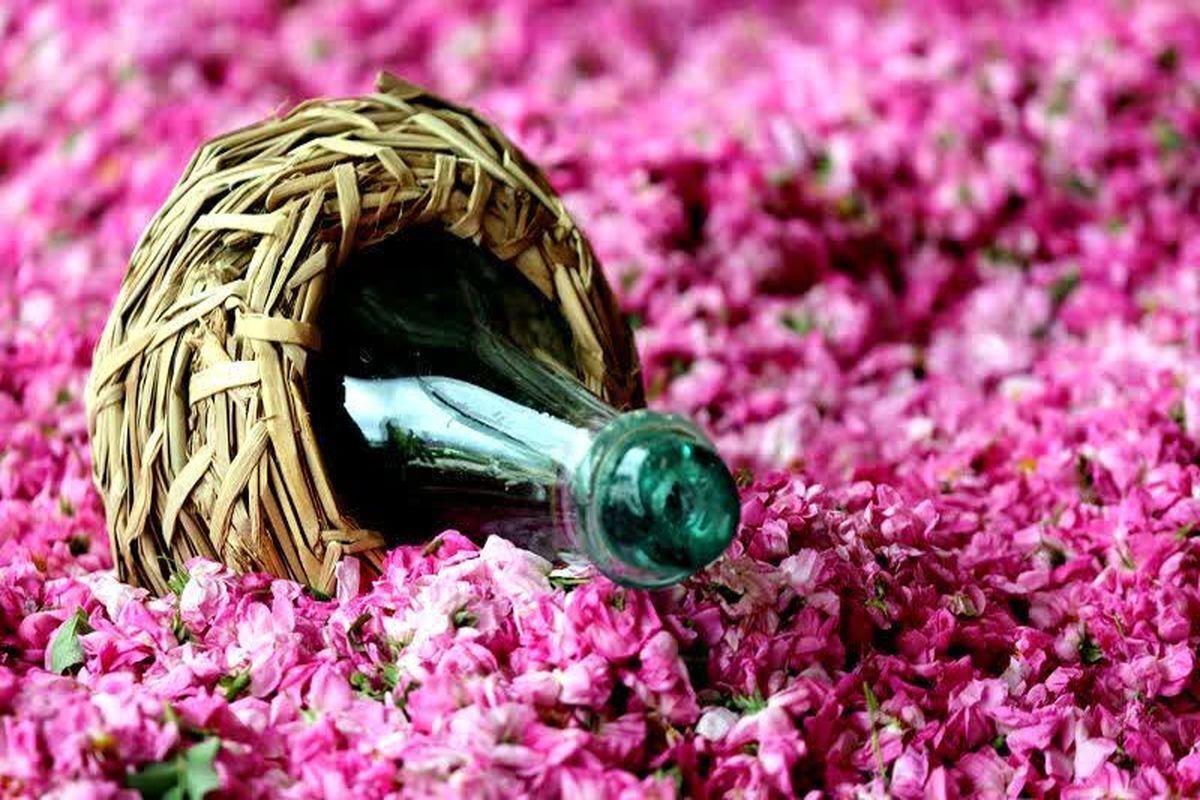 ارزآوری بیش از ۲ میلیون دلار گلاب و عرقیات گیاهی میمند فیروزآباد