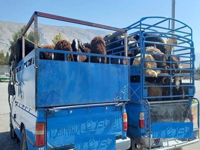 پیام فارس