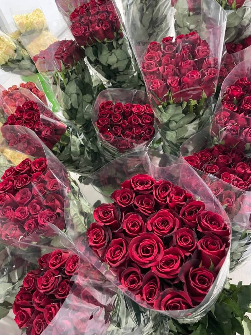 تولید سالانه ۱۹ میلیون شاخه گل زینتی در گلخانه‌های شیراز