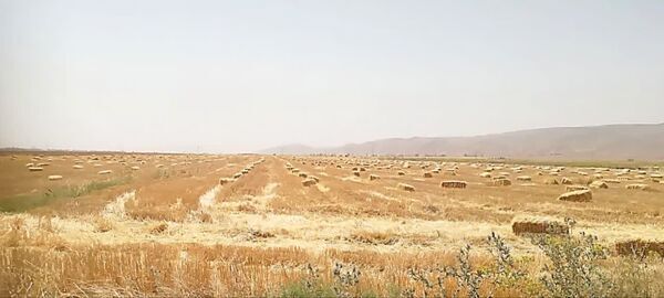 پیام فارس