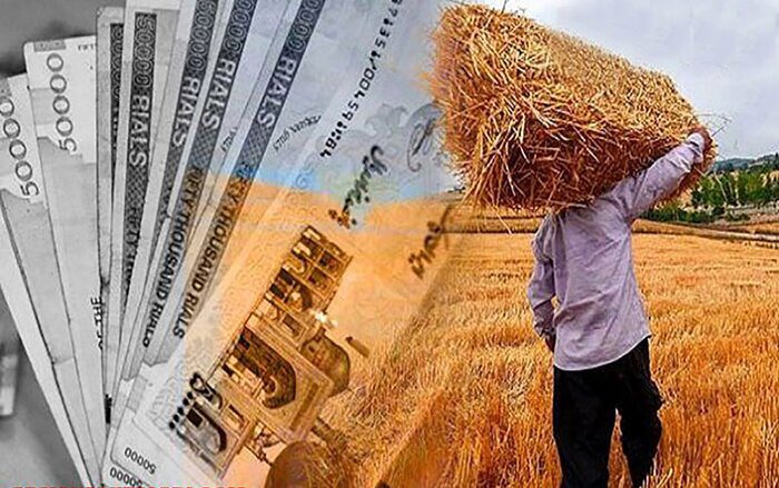 پرداخت ۱۱ همت از مطالبات گندم‌کاران فارس