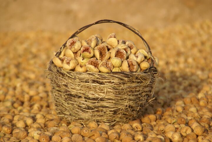 پیام فارس