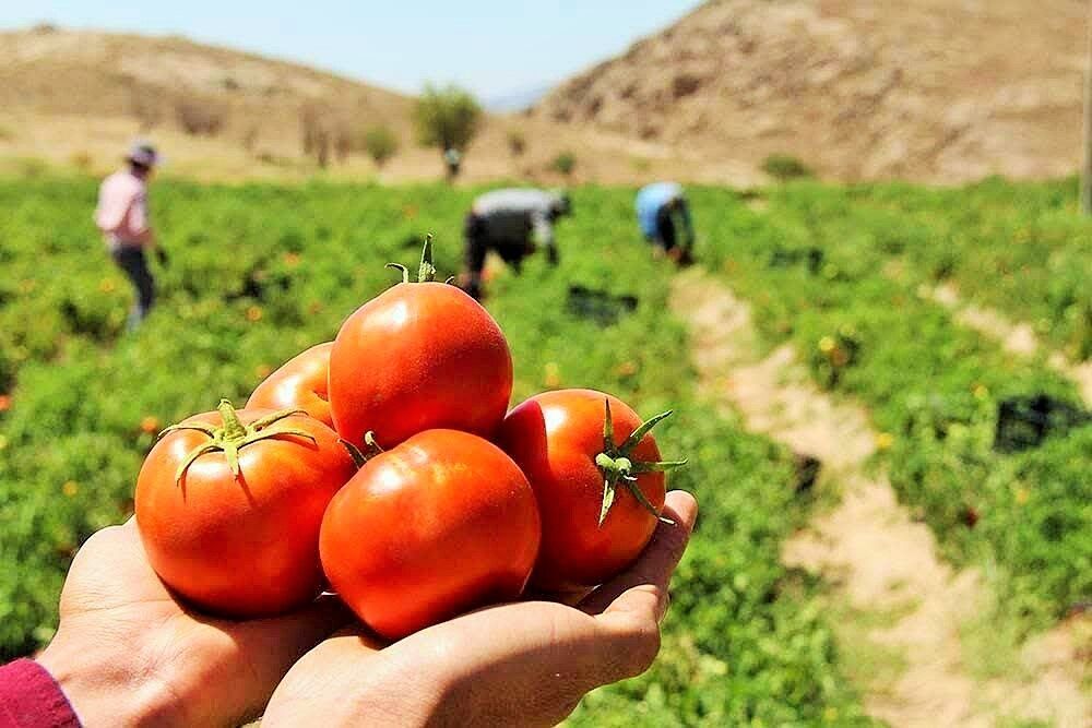 پیام فارس
