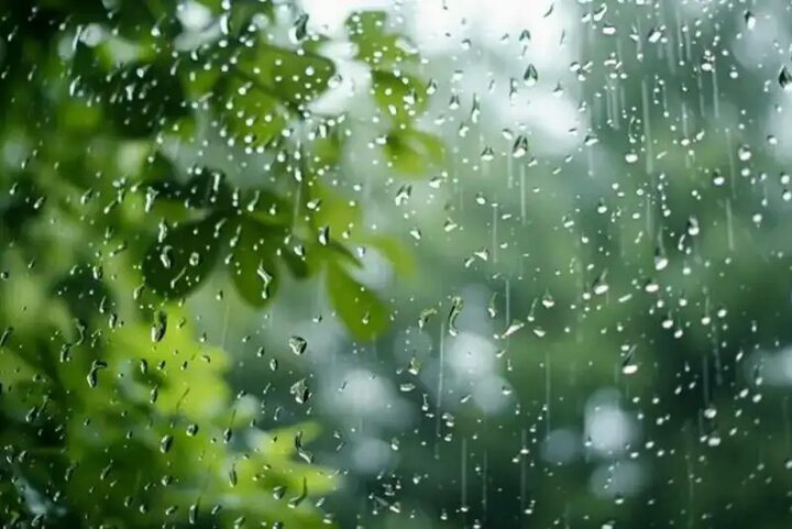 رگبارهای تابستانی جنوب فارس را در بر می‌گیرد؛ هشدار هواشناسی | آخرین خبر