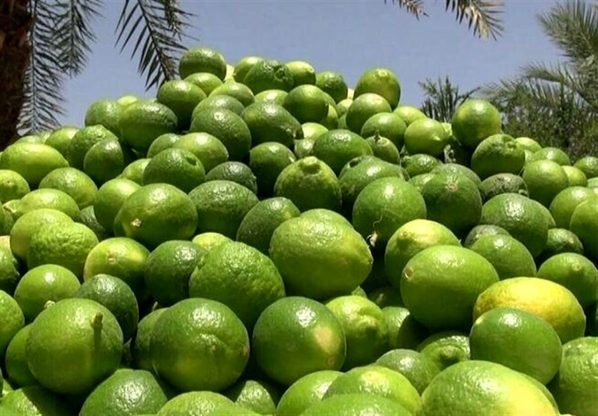 پیام فارس