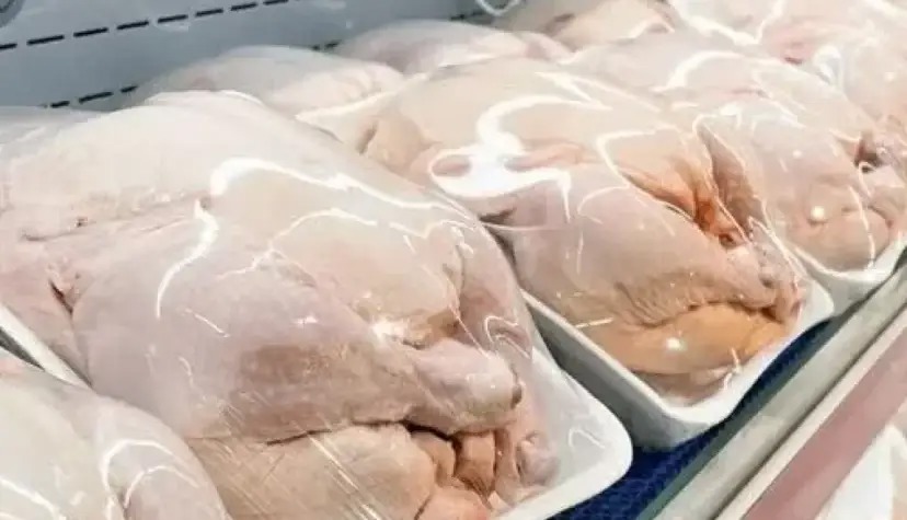 توزیع مرغ بالاتر از ۲۸۰ هزار تومان گرانفروشی است