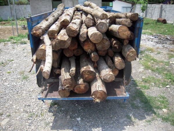 توقیف خودروی حامل چوب فاقد مجوز در سروستان استان فارس