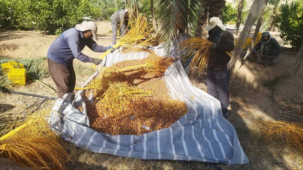 پیام فارس