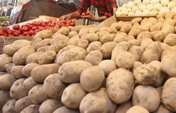 ممنوعیت صادرات سیب‌زمینی، پیاز و گوجه‌فرنگی در فارس