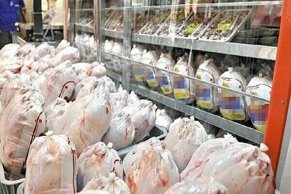 آغاز خرید حمایتی گوشت مرغ در فارس با هدف حذف واسطه‌ها