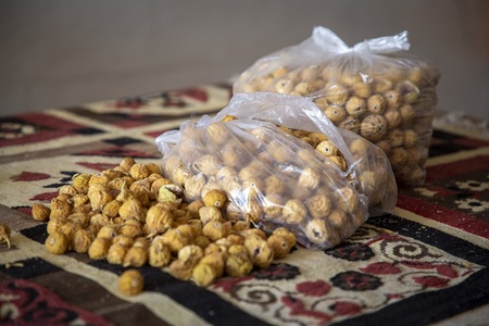 پیام فارس