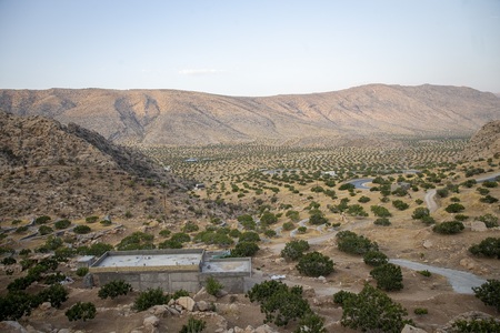 پیام فارس