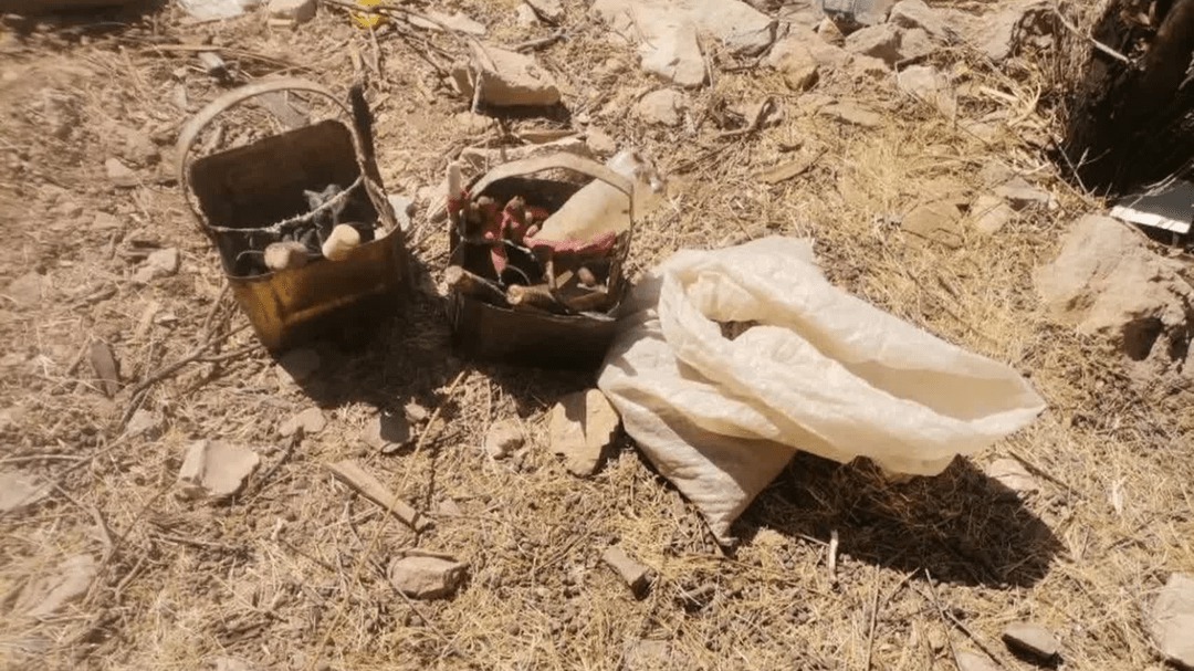 دستگیری متخلف برداشت غیرمجاز آنغوزه در فسا