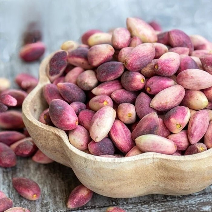 پیام فارس