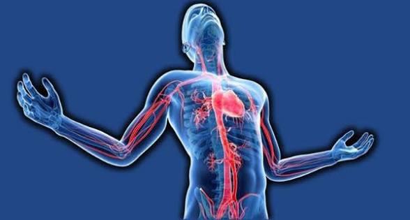 سوءمزاج چگونه شکل می‌گیرد؟