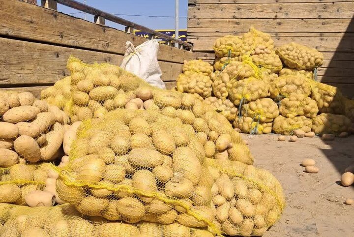 توزیع سیب‌زمینی تنظیم‌بازار در نقاط مختلف فارس ادامه دارد