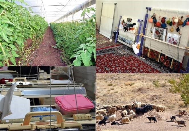اجرای طرح «دهکده مشاغل روستایی» در ۸ شهرستان فارس، بزودی