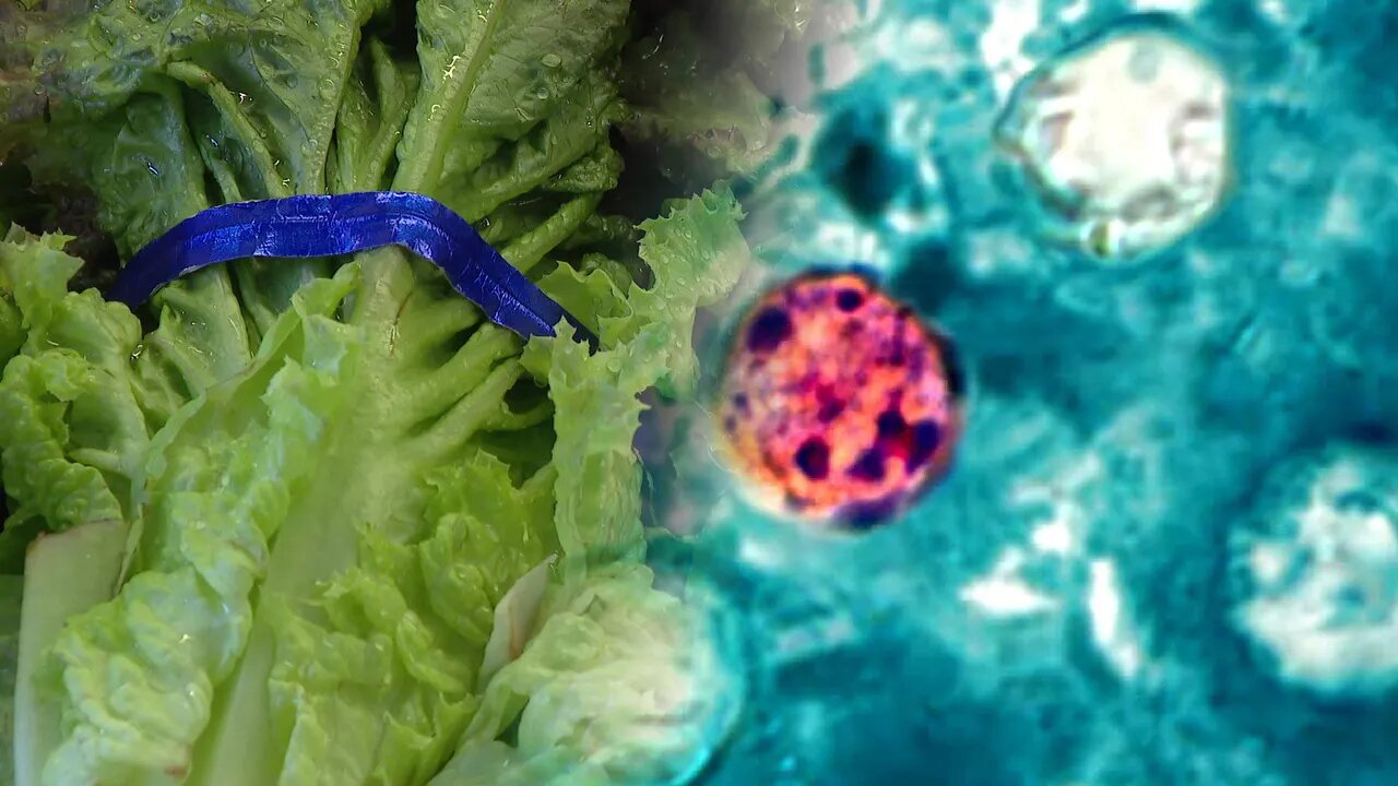 پیام فارس