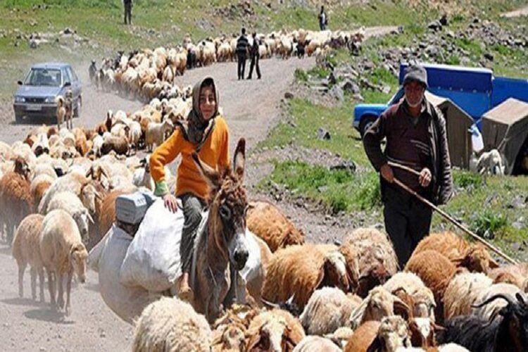 خدمات‌دهی بیمه‌ای به روستائیان بدون مراجعه حضوری