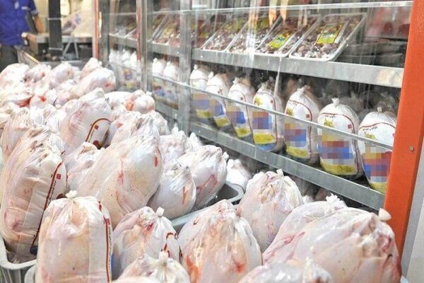 چرایی افزایش قیمت مرغ در فارس؛ توقف صادرات برای تنظیم بازار