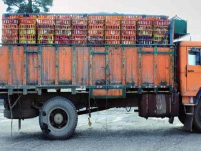 کشف حدود ۳ هزار قطعه مرغ گوشتی قاچاق در شهرستان خرمبید فارس