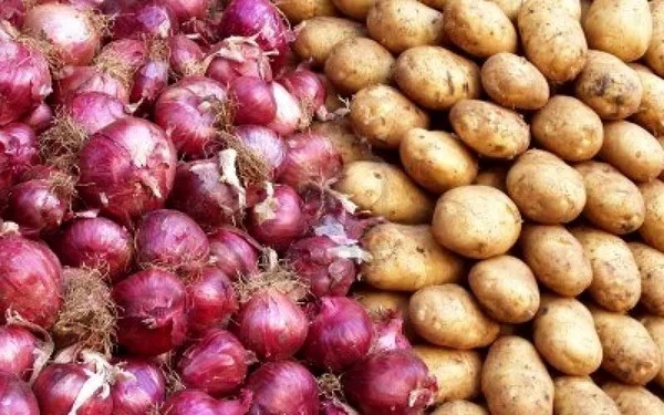 صادرات بیش از ۱۰۲ هزار تن گوجه‌فرنگی و پیاز از فارس به کشور‌های خارجی