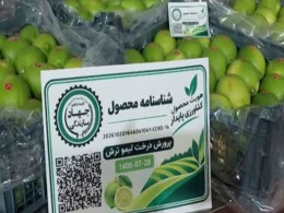 پیام فارس