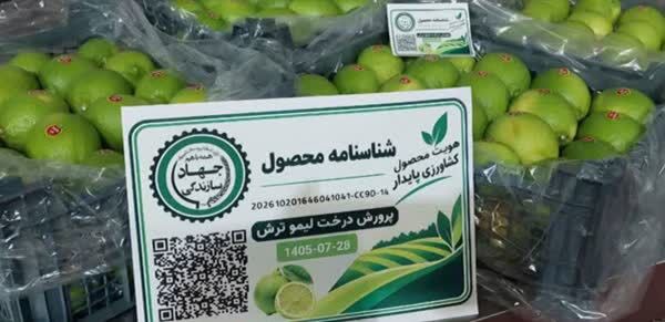 خرما و لیموترش فارس برای نخستین‌بار کد QR می‌گیرند