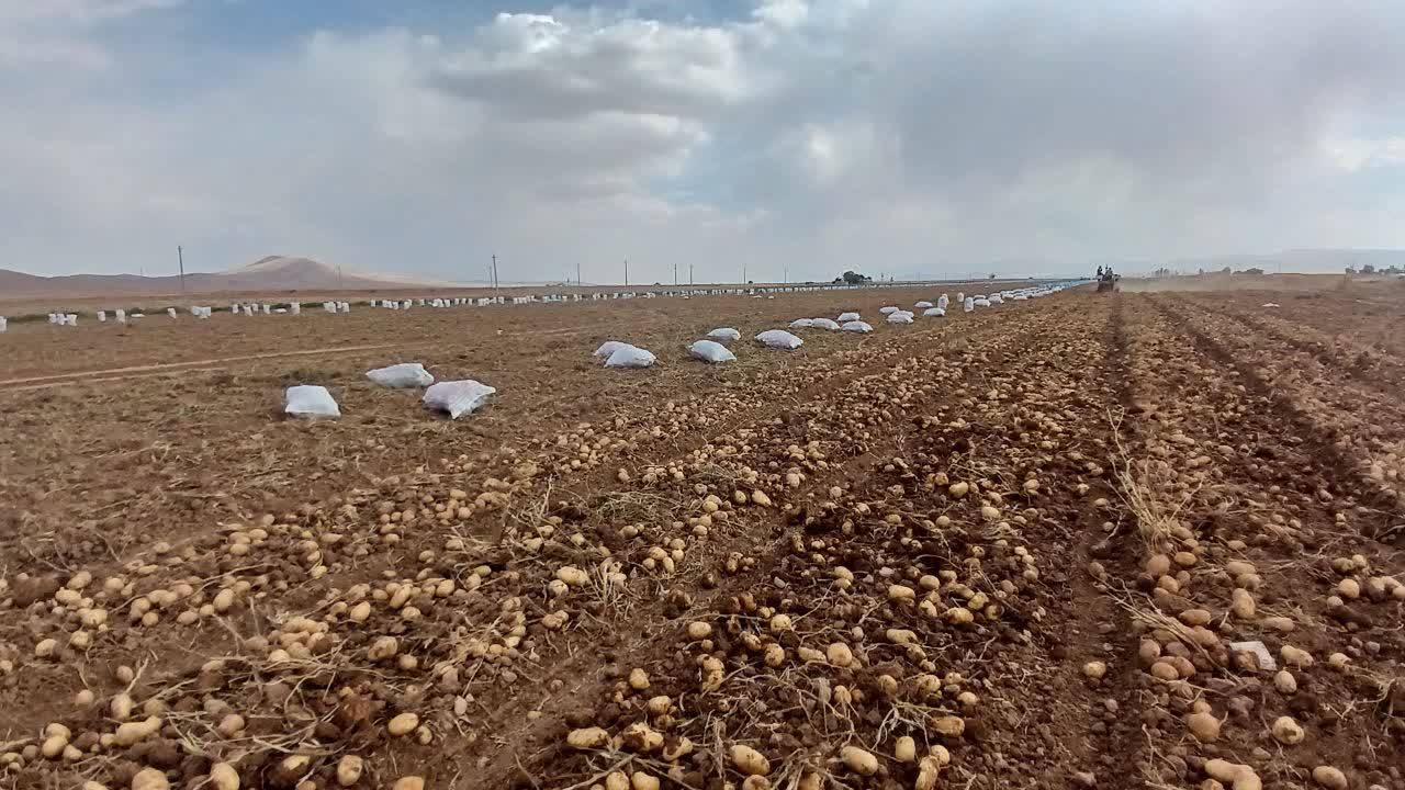 پیام فارس