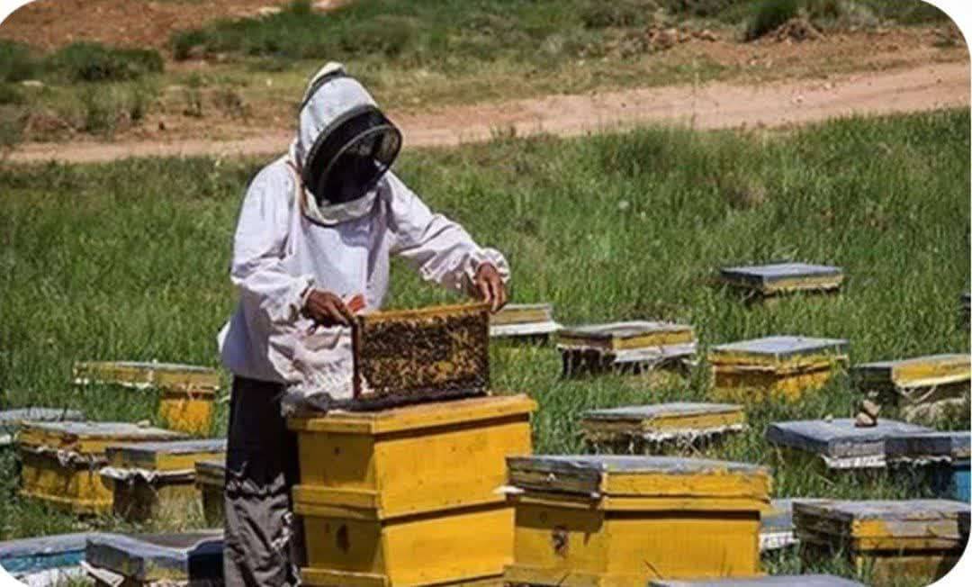 پیام فارس