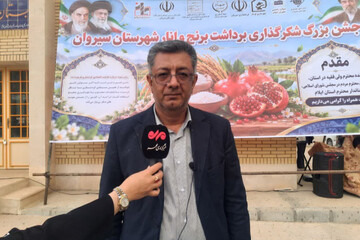 پیش‌بینی برداشت ۴۰۰۰ تن برنج سفید در شهرستان سیروان